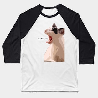 Lazy cat Baseball T-Shirt